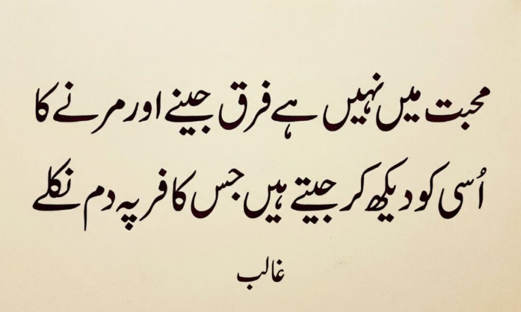 Urdu Shayari Text